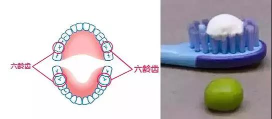 蒙特梭利教育