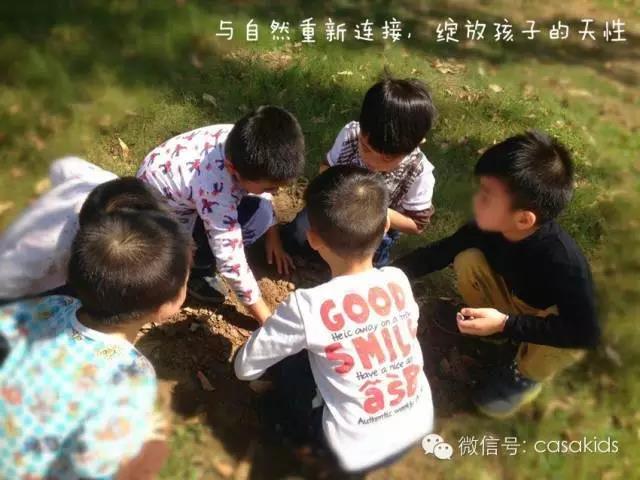 心启蒙教育推荐：孩子越提醒越粗心